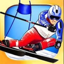 Alpine Ski Master img