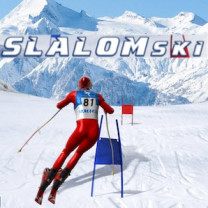 Slalom Ski Simulator Slalom Ski Simulator img