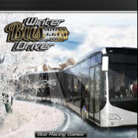 Winter Bus Driver img